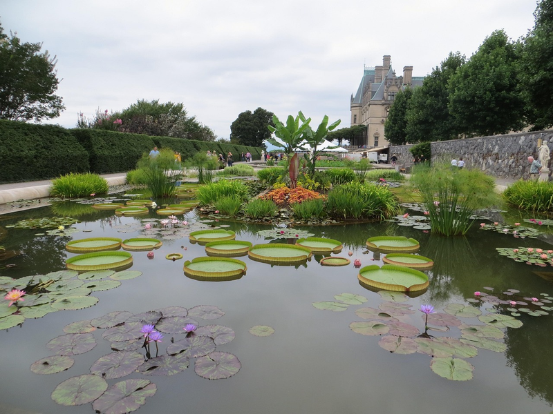 The Biltmore Estate, Asheville, North Carolina